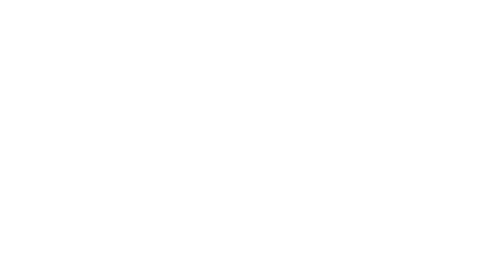 Logo partnera 1